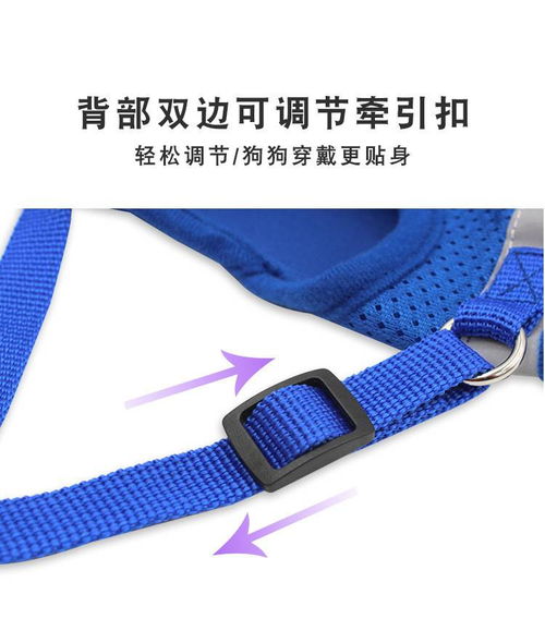 湯河店新款寵物胸背帶 融合安全、舒適與科技的愛(ài)寵出行方案