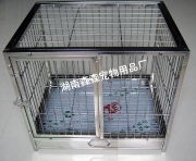 捕捉每一個(gè)精確瞬間——湖南森森寵物用品廠產(chǎn)品相冊(cè)一覽